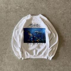 Hanes ヘインズ 90s ハワイスウェット USA製 Lサイズ