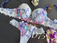 サルート　02グループ⭐️ＰＵ⭐️C65/M⭐️上下2点セット⭐️新品タグ付き❗️ サルート02グループ⭐️PU⭐️C65/M⭐️上下2点セット⭐️新品