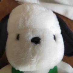 レトロ SANRIO ビーチバレー ポチャッコ ぬいぐるみ 20㌢