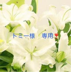 トミー様 専用❣️