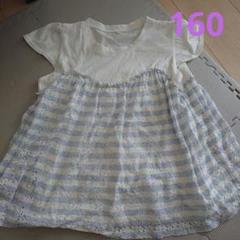 807.サイズ160
