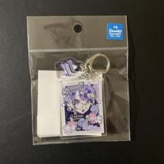 望月けい サンリオ リトルツインスターズ アクキー