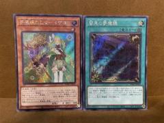 遊戯王　夢魔鏡の乙女イケロス　闇黒の夢魔鏡　シク　WPP →546