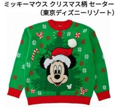 東京ディズニーリゾート 2019年 限定品 クリスマス　セーター　セット販売 トナカイになりきれるイヤーハットも！東京ディズニーリゾート