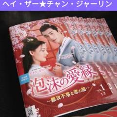 中国ドラマ 泡沫の愛縁 ～難攻不落な恋の路～ DVD全巻 レンタル