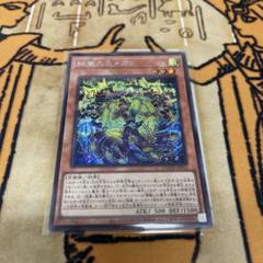 遊戯王　絢嵐たるメガラ　シク　ドゥームオブディメンションズ
