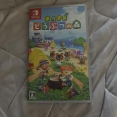 あつまれどうぶつの森 NintendoSwitch
