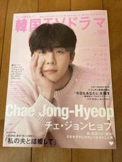 【チェ・ジョンヒョプ表紙号】　もっと知りたい！ 韓国TVドラマ vol.120のサムネイル