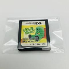 DS ガチャピンチャレンジ ゲームソフト