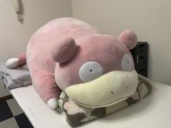 等身大ヤドン 楽天市場】ぬいぐるみ 等身大ヤドン 2024年度版 : モ-ニングマート