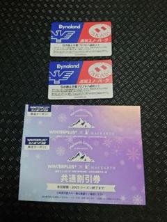 高鷲スノーパーク リフトICチケット2枚　50%OFF券2枚セット 高鷲スノーパーク リフト券
