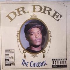 Dr. Dre The Chronic ドクタードレー クロニック LPレコード
