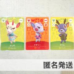 直送商品 2025年最新】あつ森ナタリーの人気アイテム - メルカリ その他