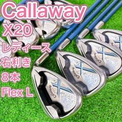 X-20 アイアン（8本セット） スチール装着(アイアン（セット