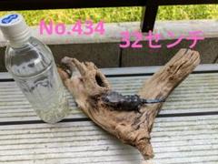 2025年最新】流木 爬虫類の人気アイテム - メルカリ