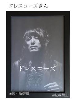 ★ドレスコーズさん★額装★新品額縁入り★非売品★志磨遼平さん★希少★ファン必見★