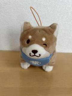 CR きなこ 犬 誕生日 KINAKOKEN DOLL ぬいぐるみ キーホルダー 2025年最新】きなこ犬 crの人気アイテム - メルカリ
