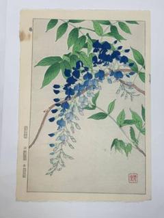 No228 木版画 河原崎奨堂【藤】芸艸堂版 大判 彫長島 摺吉田 真作保証 No228 木版画 河原崎奨堂【藤】芸艸堂版 大判 彫長島 摺吉田 真