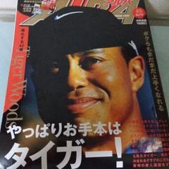 タイガーウッズ販促用ブローシュア（小冊子）