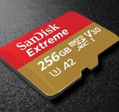 SanDisk マイクロSDカード 256GB microSDメモリー
