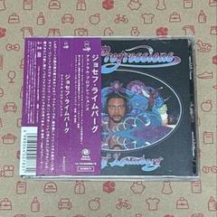 Josef Leimberg / Astral Progressions