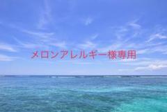 ケノン ver6.2