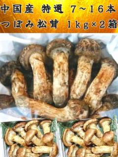 2025年最新】北海道 松茸の人気アイテム - メルカリ