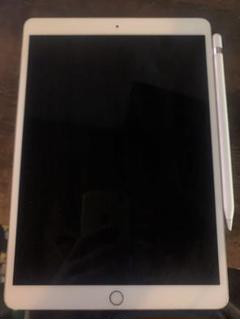 Amazon.com : Apple iPad Pro 10.5in (2017) 64GB, Wi-Fi