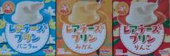 宝幸 ロルフ レアチーズプリン 3種セット