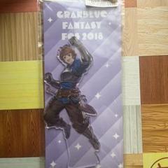 グランアクリルスタンド2018グラフェス