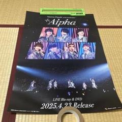 なにわ男子 Alpha 店頭 告知 ポスター 非売品 B2 未使用
