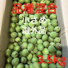 青梅 品種混合(白加賀・鶯宿梅) 選外品 3.5kg - メルカリ