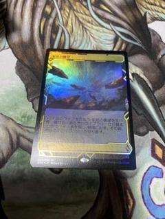 MTG 虹色の眺望/Prismatic Vista 英語 4枚組 【値下げ不可】 0040.jpg
