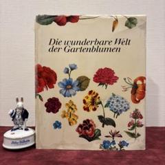 ❤️セール728B⑩ビンテージ植物図鑑 洋書古書 ボタンニカル