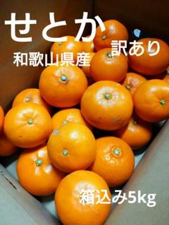 せとか 訳あり 和歌山県産 10kg 送料込み - メルカリ