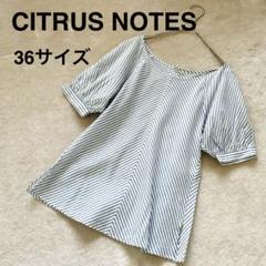 cITRUS nOTES シトラスノーツ セットアップ スカートスーツ 36 CITRUS NOTES（スーツ）のフリマアイテム一覧