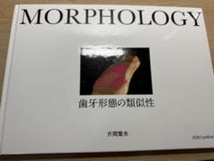 シエン社 | Morphology
