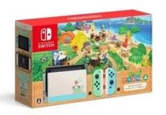 新品 NintendoSwitchあつまれどうぶつの森同梱版