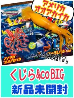 【新品未開封】くじら&co コンプリートセット 2025年最新】くじら&coビッグ コンプリートの人気アイテム