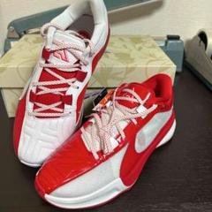 ナイキ ヤニス HP ズーム フリーク 5 EP ASW ヤニス