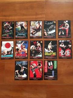 キングオブプロレスリング　技カード　13枚セット