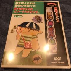 2025年最新】秀逸フラッシュ dvdの人気アイテム - メルカリ