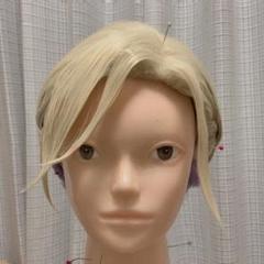 ヴィル ツイステ 完成ウィッグ セット済み コスプレ 寮服
