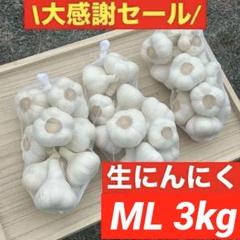 【大感謝セール】新物 青森県産 生にんにく A品 2L 3kg福地ホワイト六片 大感謝セール】新物 青森県産 生にんにく L 3kg 福地ホワイト六
