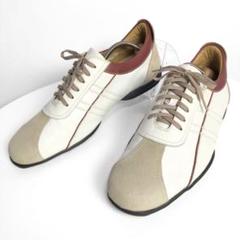 Vintage BURBERRY GOLF SHOE CARRIER Beige Golf Shoe Bag | eBay