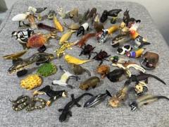 チョコエッグ動物フィギュアセット 約50体 楽天市場】【正規品】 チョコエッグ ペット動物コレクション 第2