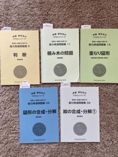 伊藤恭先生のPYGLIシリーズ　18冊 能力育成問題集18 ことば (ピグマリオン|PYGLIシリーズ|小学校