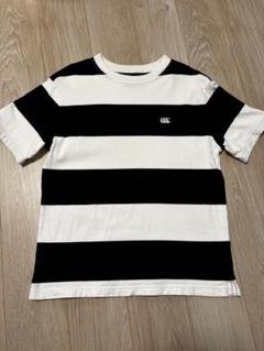 CANTERBURY ストライプ Tシャツ M