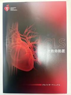 ACLS G2020 二次救命処置 プロバイダーマニュアル　書込無 美品 ACLS プロバイダーマニュアル（電子書籍版）