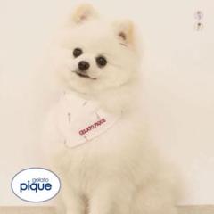 （未使用）gelat pique CAT&DOGジャガード上下セット　✳︎猫柄✳︎ 2025年最新】ジェラートピケ 猫 上下の人気アイテム - メルカリ